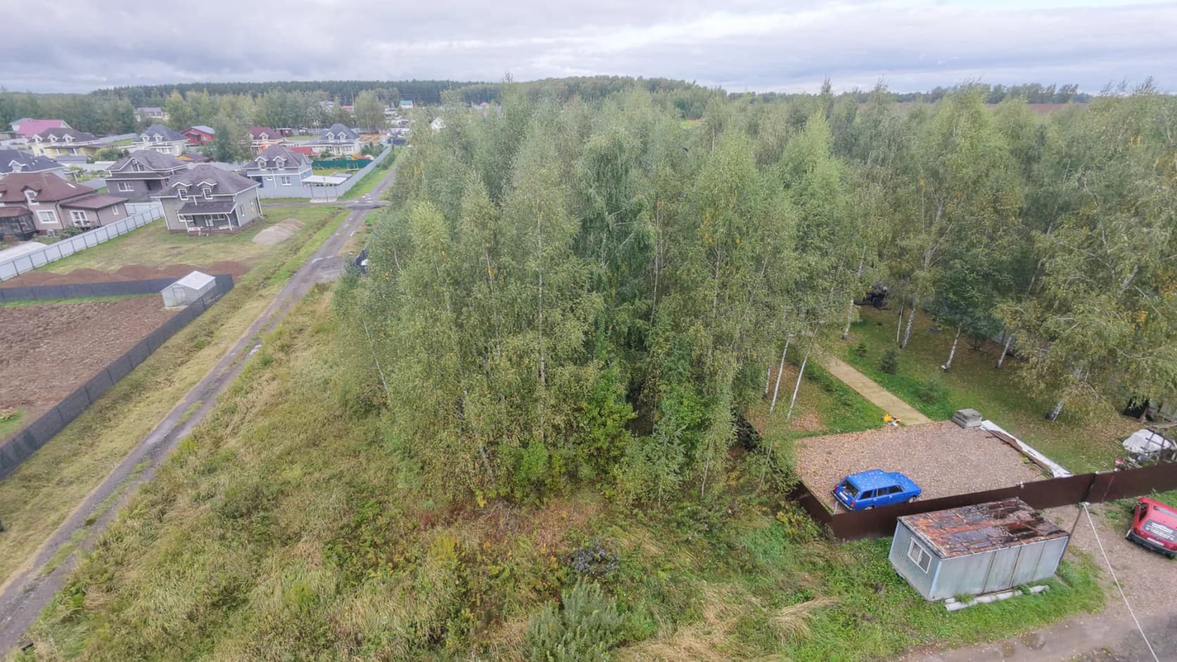 Начало: деревья на участке между соседними ограждениями